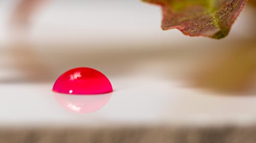 TAPPI&nbsp;T&nbsp;558