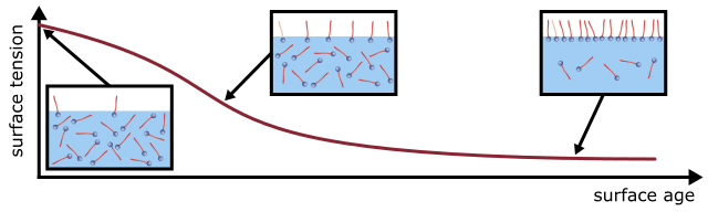 Figure 2: The dynamic surface tension σ decreases with time as the surface-active substances accumulate at the surface. The static surface tension is established after the equilibrium is reached.